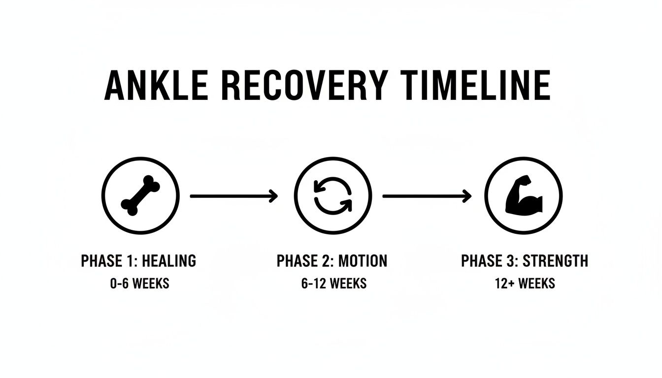 Ankle recovery timeline illustrating three phases: healing, motion, and strength, with corresponding durations.