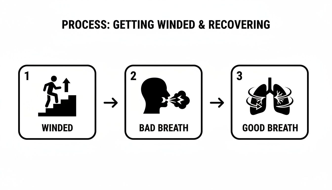 Infographic illustrates getting winded while climbing stairs, heavy breathing, and finally recovering good breathing in lungs.