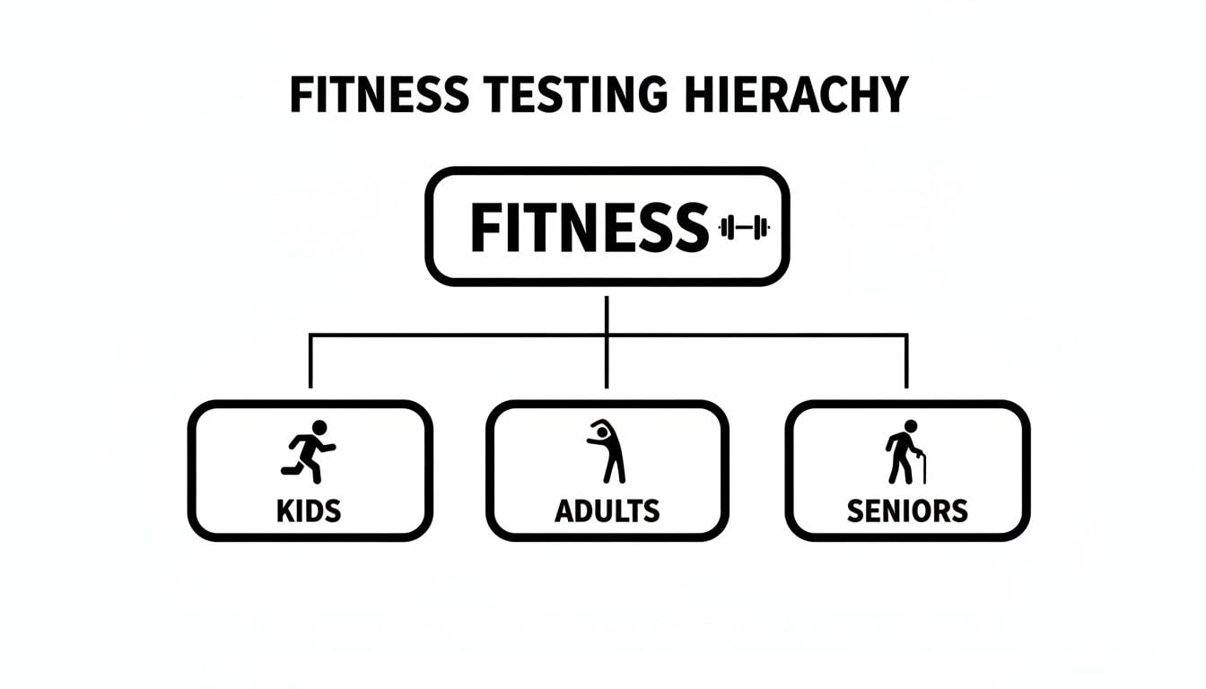 A fitness testing hierarchy diagram showing categories for kids, adults, and seniors.