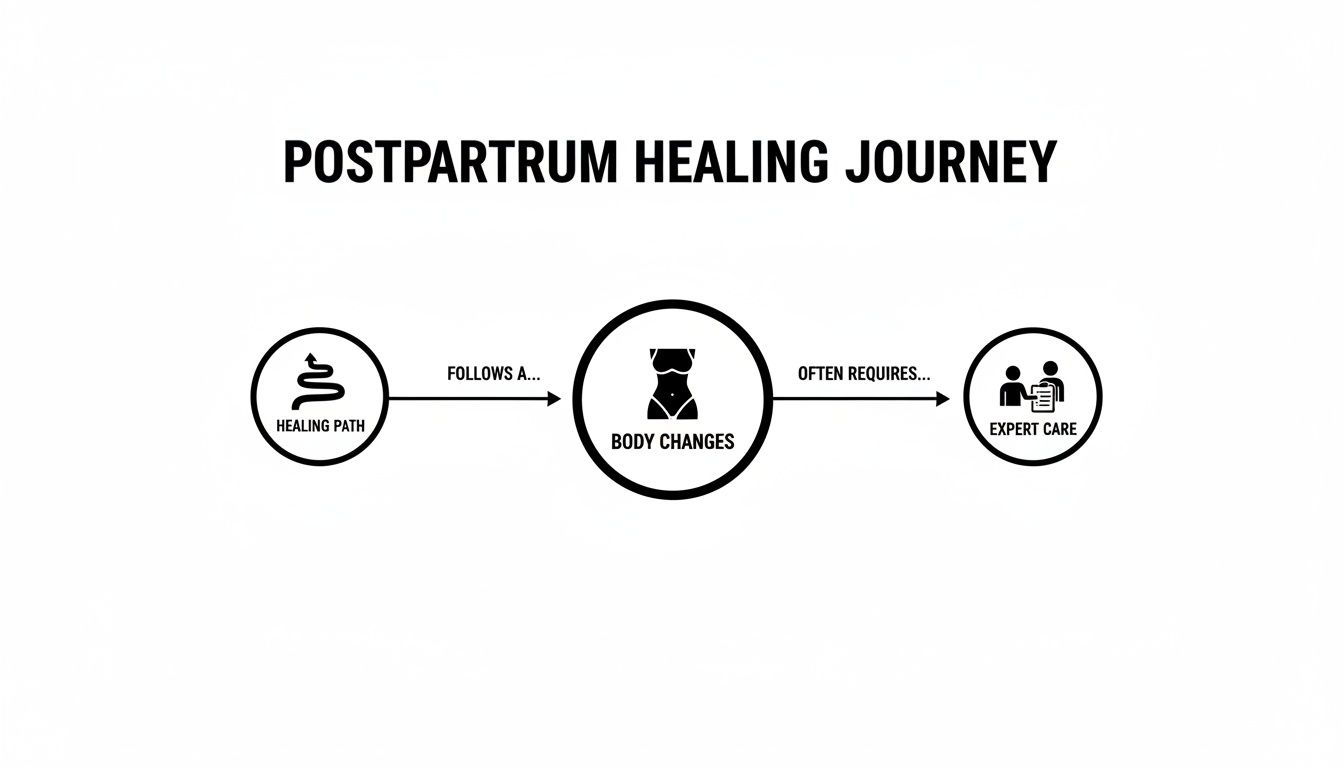 A flowchart titled 'Postpartum Healing Journey' depicting a healing path leading to body changes and expert care.