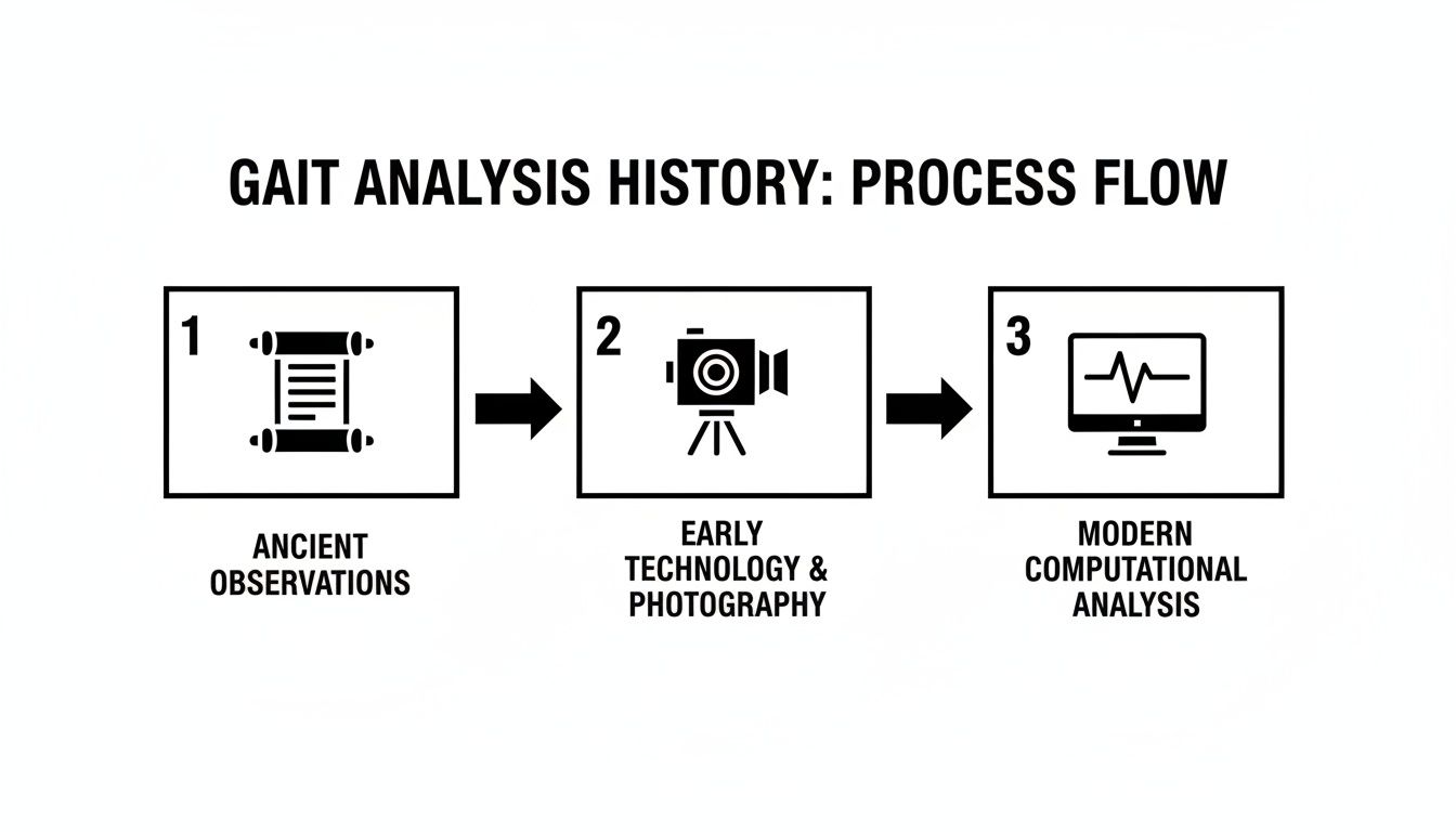 A process flow diagram illustrating the history of gait analysis, from ancient observations to modern computational analysis.