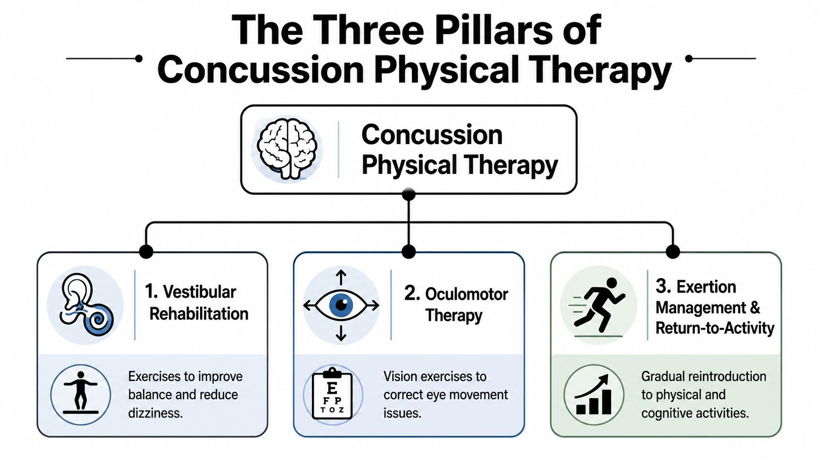 An infographic illustrating the three pillars of concussion physical therapy, including vestibular, oculomotor, and exertion management therapy.